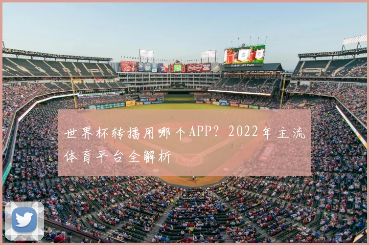 世界杯转播用哪个APP？2022年主流体育平台全解析